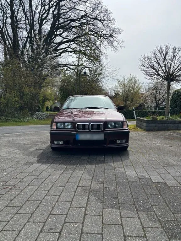 BMW 323