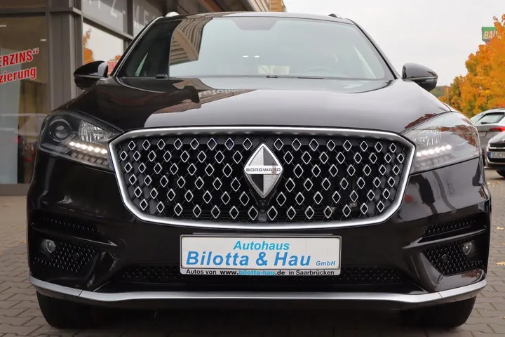 Borgward Other
