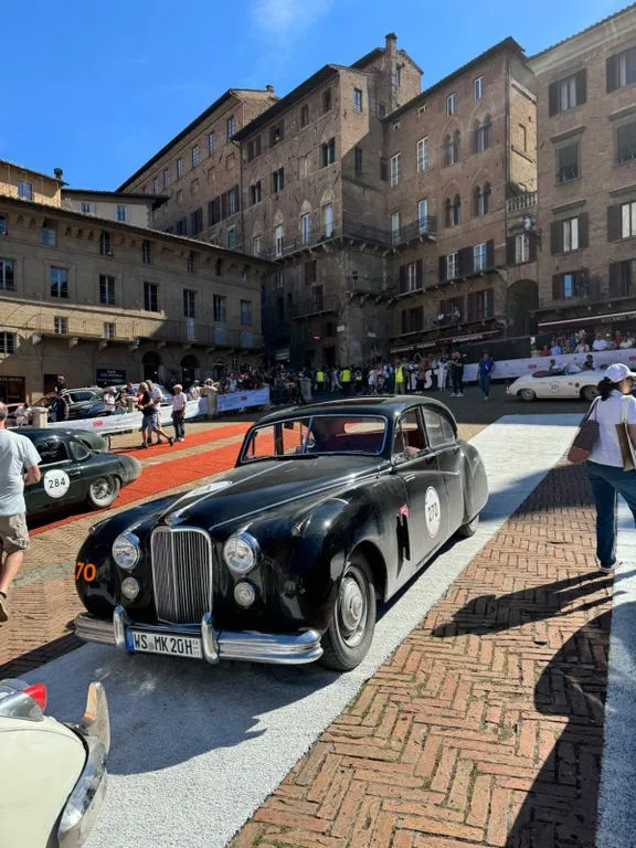 Jaguar Other