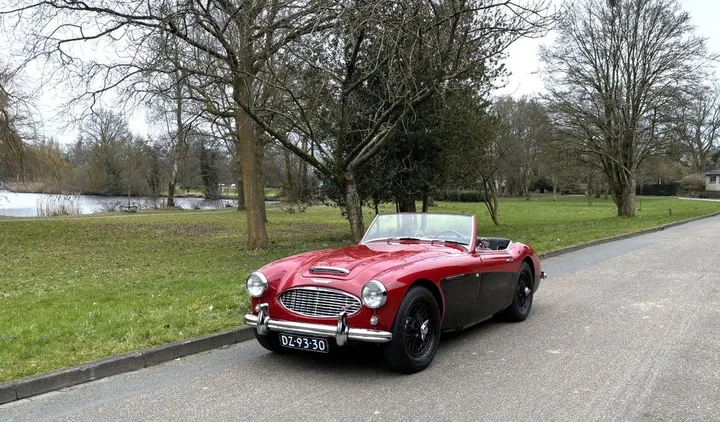 Austin Healey Other