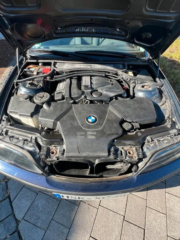 BMW 318