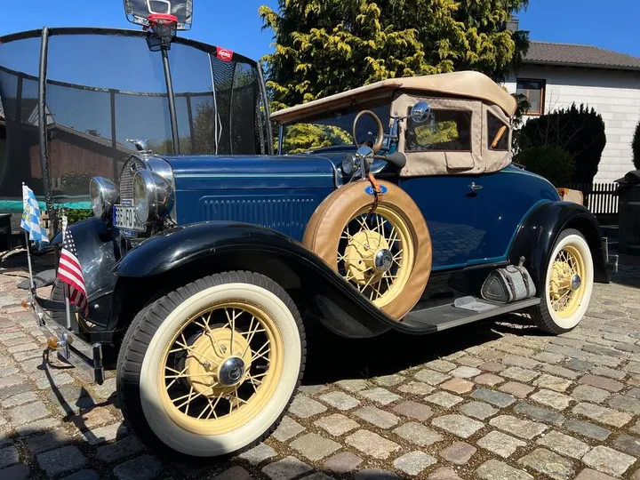 Ford Other