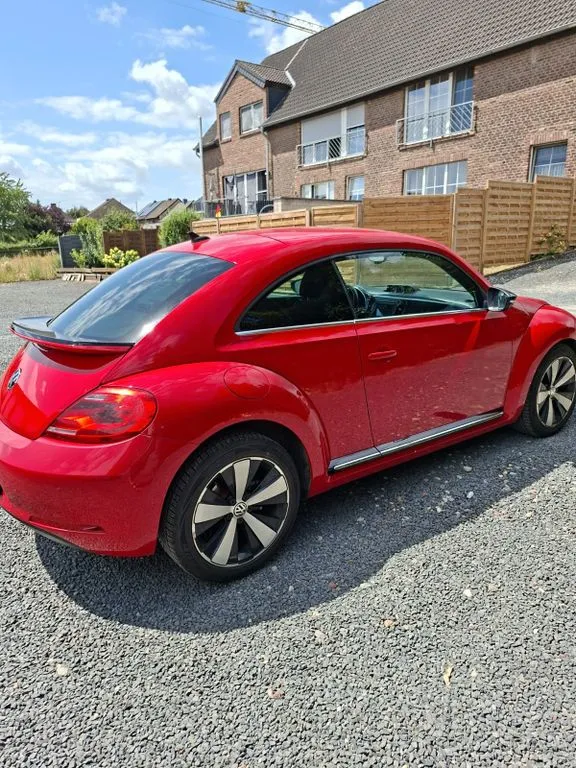 Volkswagen Beetle