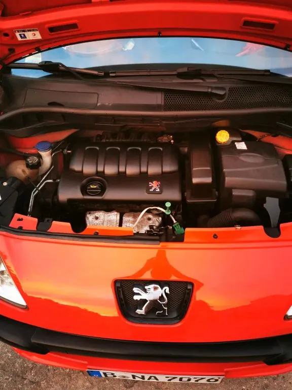 Peugeot 1007