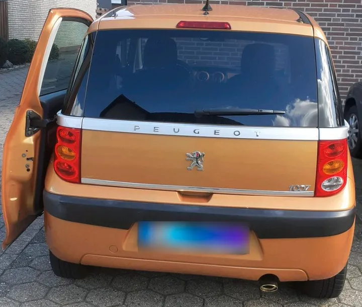 Peugeot 1007