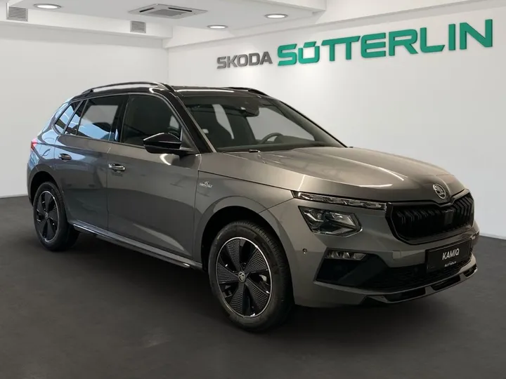 Škoda Kamiq