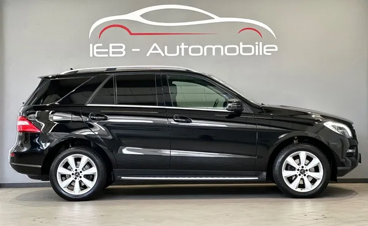 Mercedes-Benz ML 250