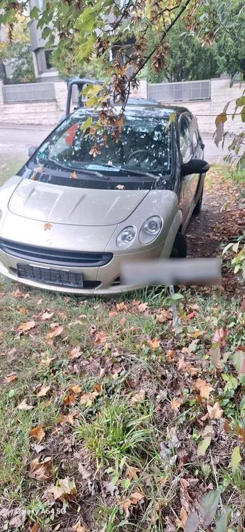 Smart ForFour