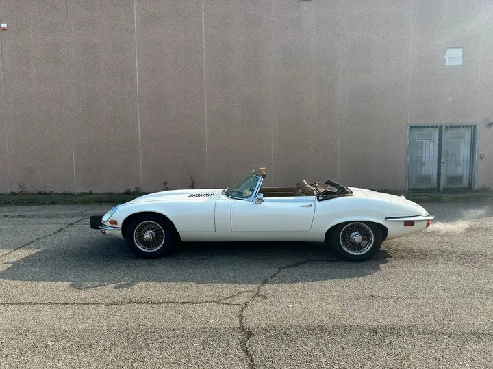 Jaguar Other