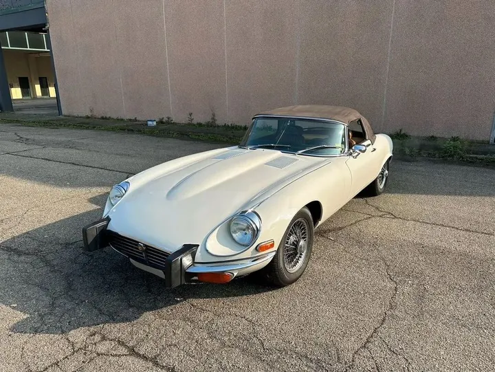 Jaguar Other