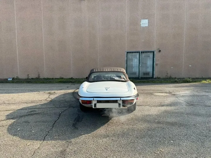 Jaguar Other