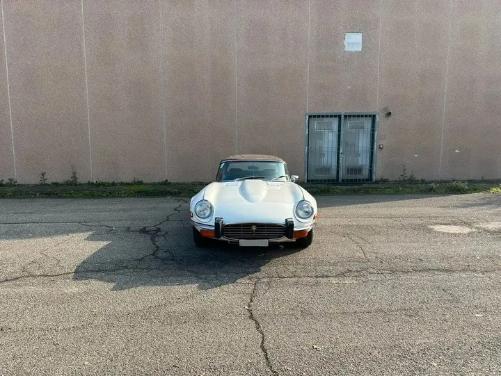 Jaguar Other