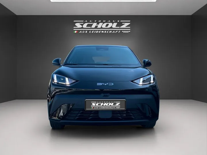 BYD DOLPHIN SURF
