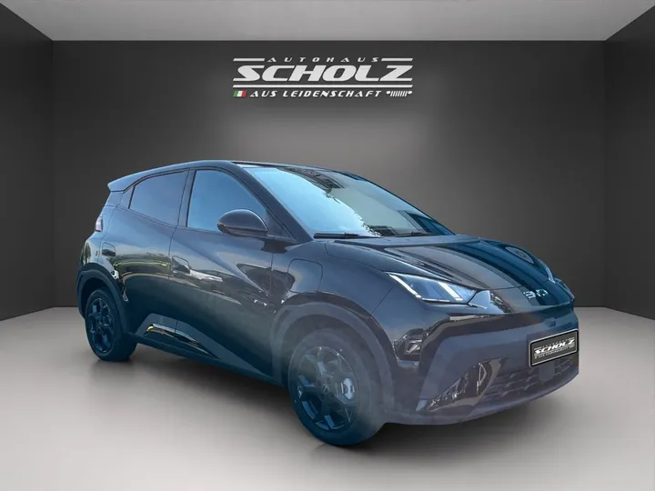 BYD DOLPHIN SURF
